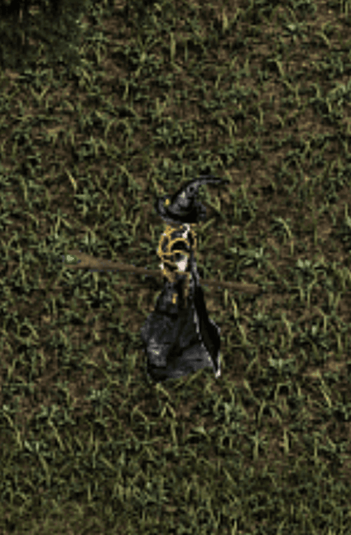 Mage des Ombres